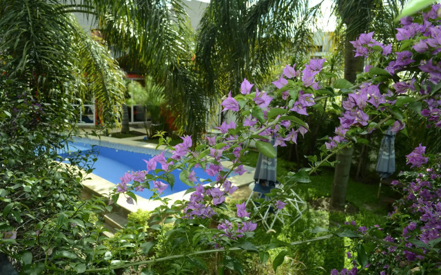 Costas del Paraiso