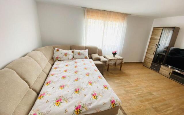Andrei's house
