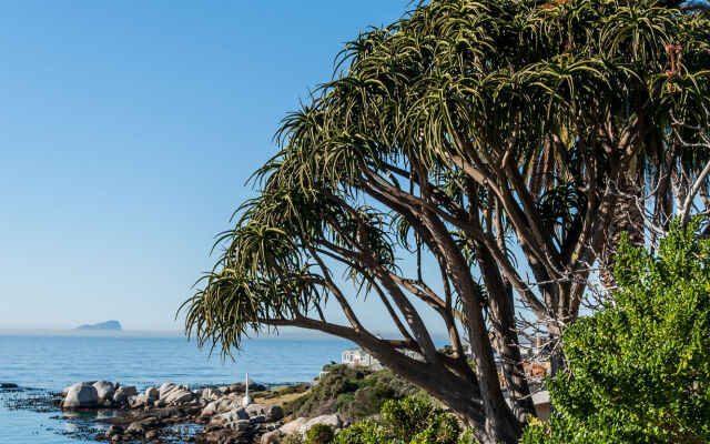 Whale View Manor Guesthouse