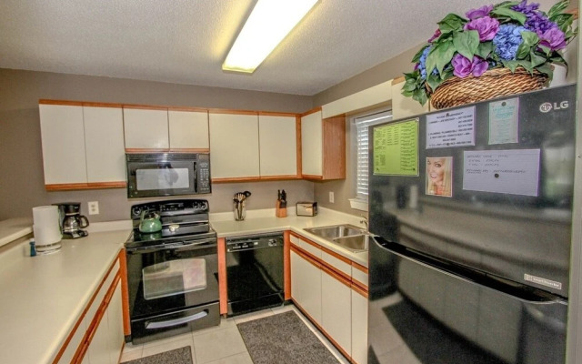 Misty Cove by RedAwning