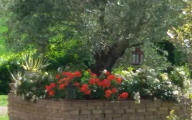 B&B Principerto