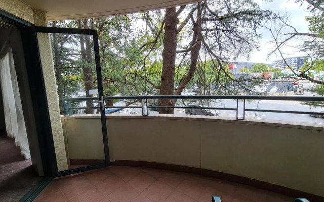 1BR Executive Apartment in City Centre