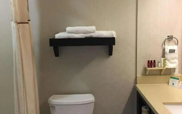 Best Western Premier Ashton Suites-Willowbrook