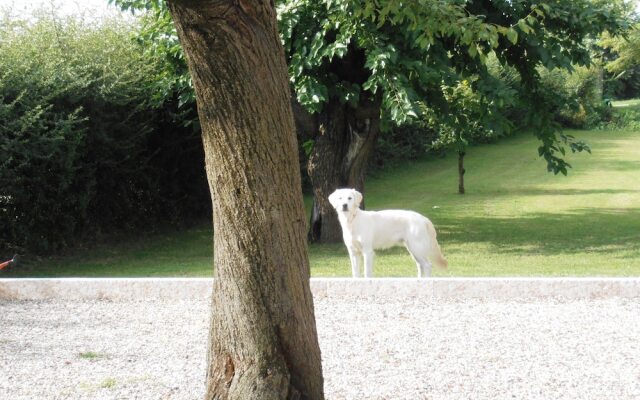 L'Artigliere ristorante con Locanda