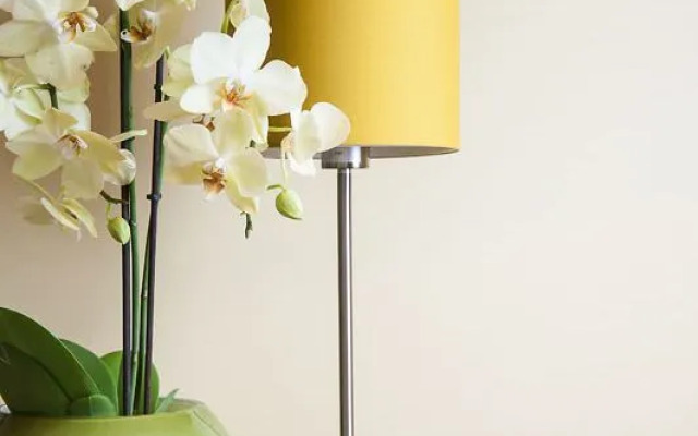 Viridian Apartments in Marylebone Serviced Apartments - Chiltern Street