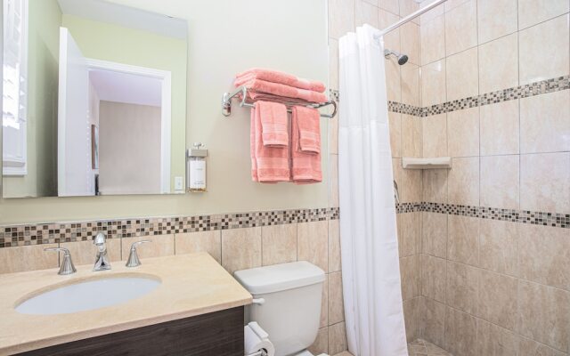 The Local - St. Augustine