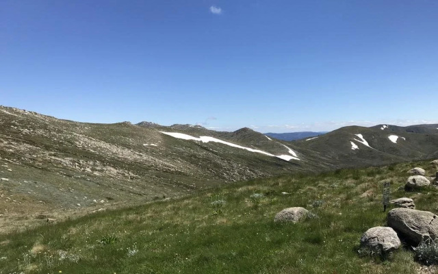 Squatters Run 12a