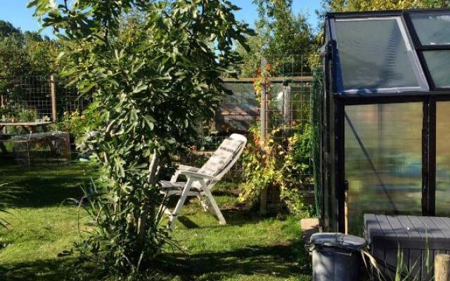 Studio Lakeside Spiegelplas