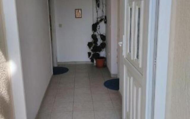 Apartment Davor