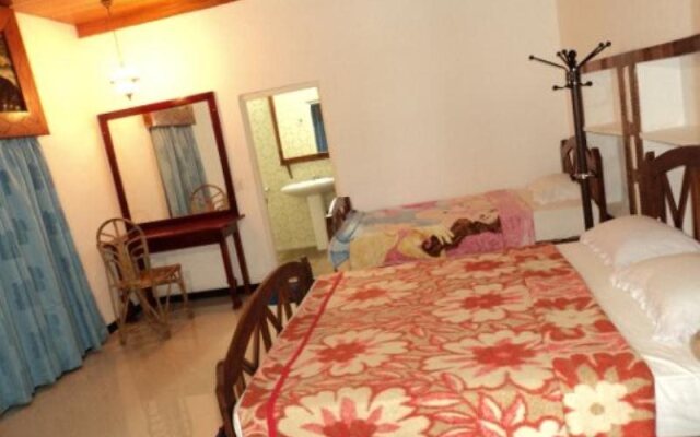 Mount Field Resort