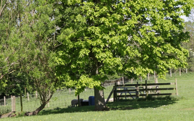 Goathland Cottage