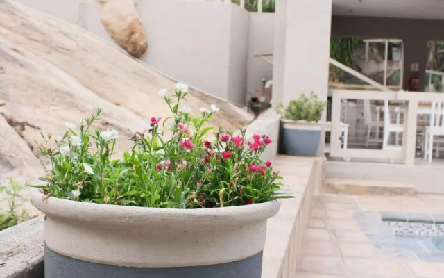 Vineyard on the Hill Guest House