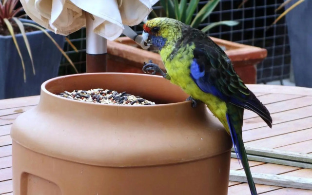 THE LOFT @ Bay of Fires Seascape