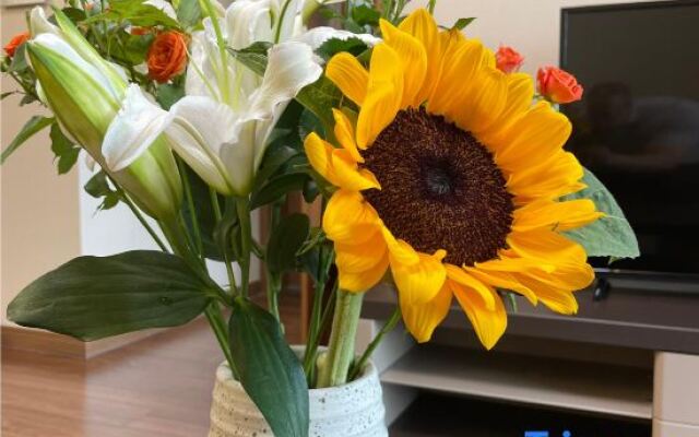 The yard under the mountain