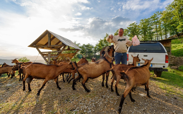 Agriturismo Casa Passerini a Firenze