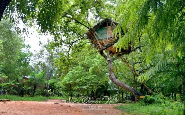 Tree house sigiri queens rest