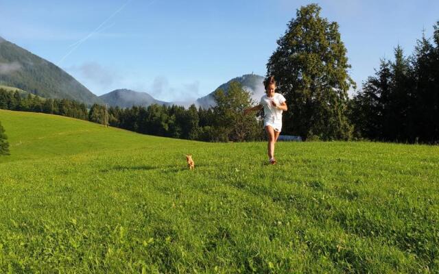 Apartma Lesjak - pobeg v naravo