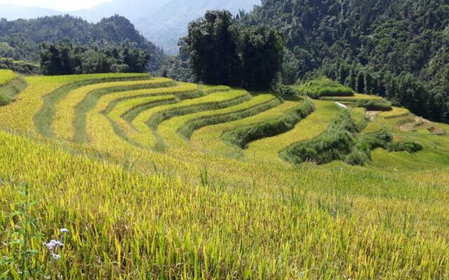 SaPa Farmer House