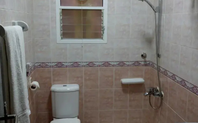 Tiger Home