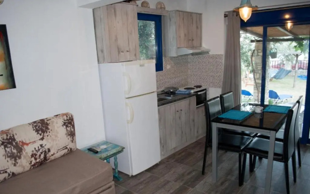 Blue Dreams Thimonia