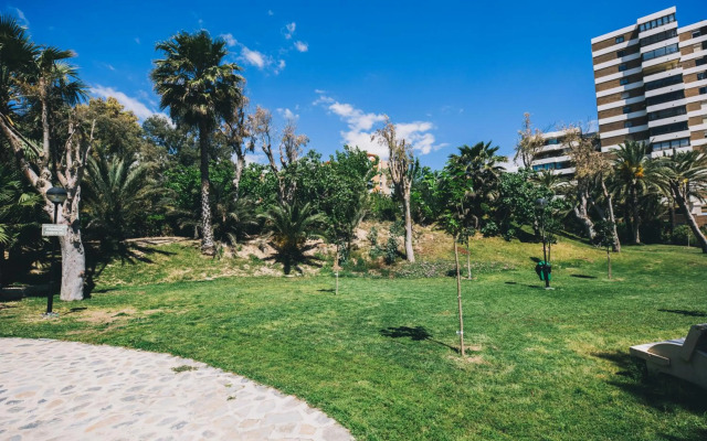 Glp Raspeig Dreamsea