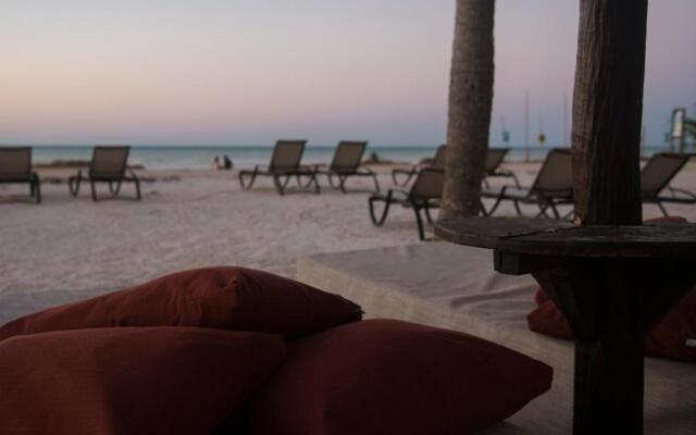 Blue Holbox