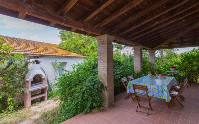 Fonte del Ceppo 1 (TTE300)