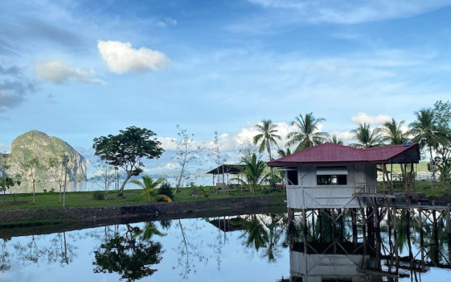 CED Farm