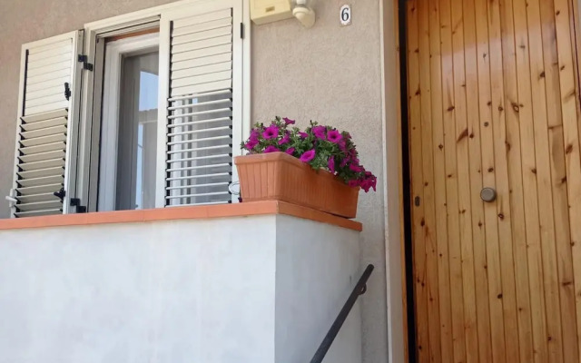 Fiori d Arancio in Avola