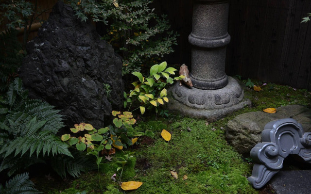 Guest House Bokuyado