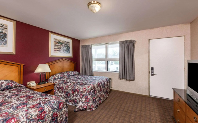 Elite Inn