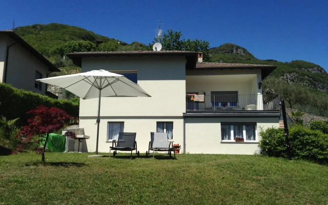 Verde E Panorama