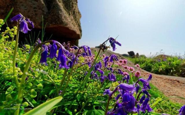 Maison Pleumeur-Bodou, 5 pièces, 8 personnes - FR-1-542-29