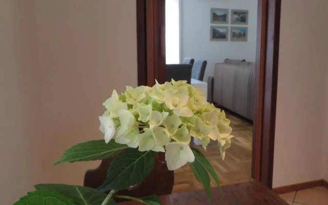 Apartment Hisa Lescer