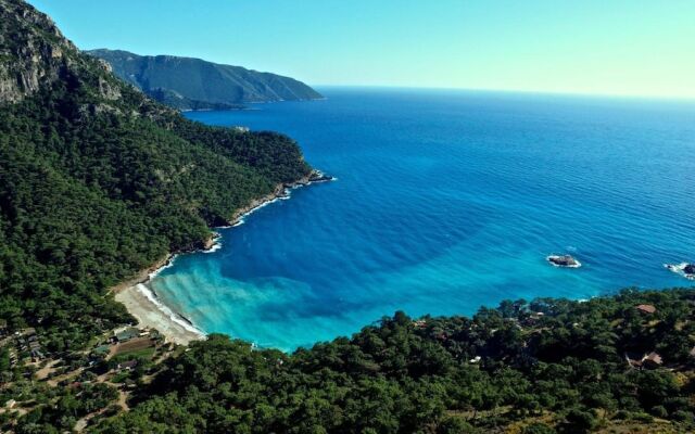 Olive Garden Kabak