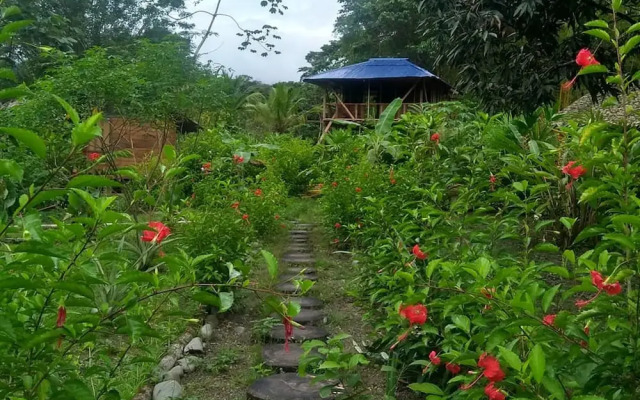 Rio Mar Bahía Solano Choco Colombia
