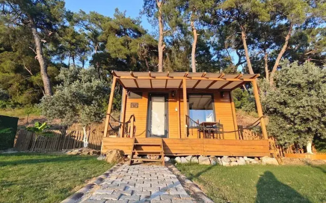Ti̇ny Mi̇ni̇ House