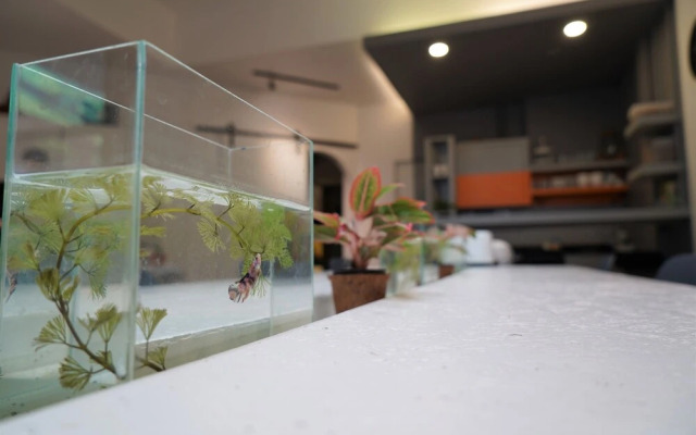 Silom Studios
