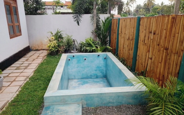 Tropical Suites