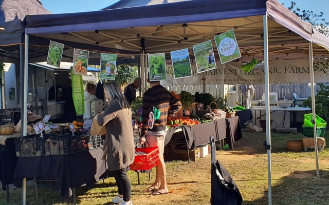 Beachside Serenity Apartment