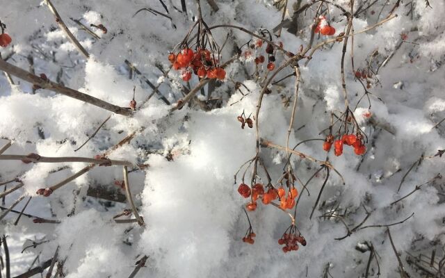 Alpin Hotel Garni Eder Private Living