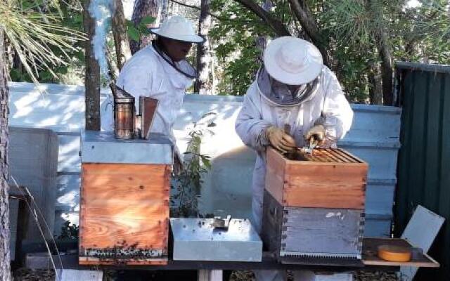 Quinta da Pedra Mija