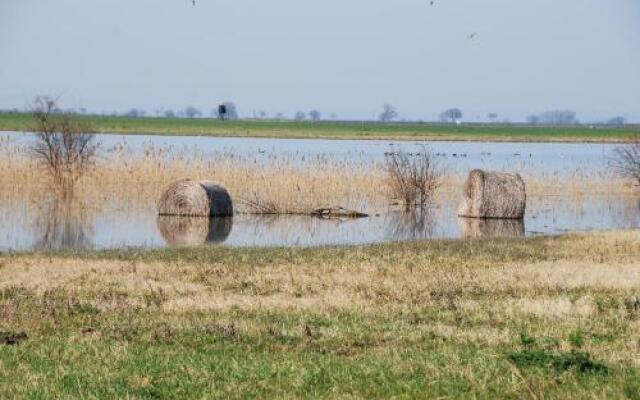 Zehentner - Wein & Feriendomizil