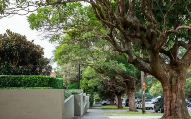 Luxury Escape in Bellevue Hill Apartment