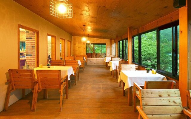 Skylake Pension