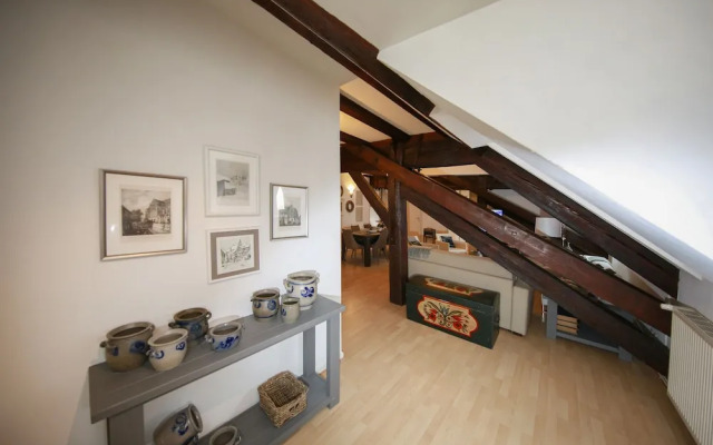 ColmarAppart BAUMGARTNER 117M