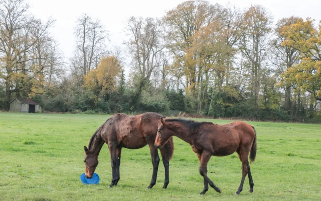 Palmers Green Cottage