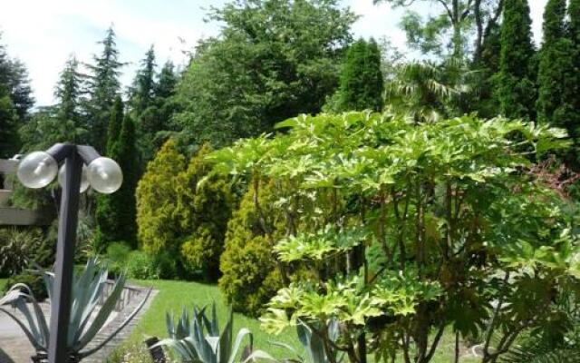 Diamonds of the Black Sea Guest House