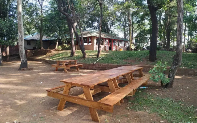 The Jungle Resort Amba