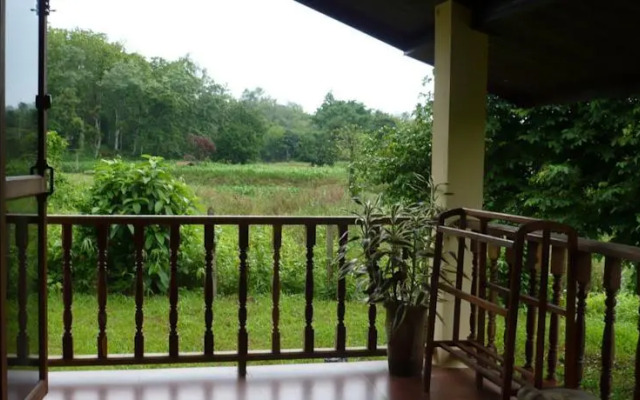 Suancha Tea Garden